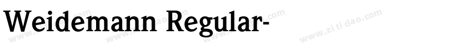 Weidemann Regular字体转换